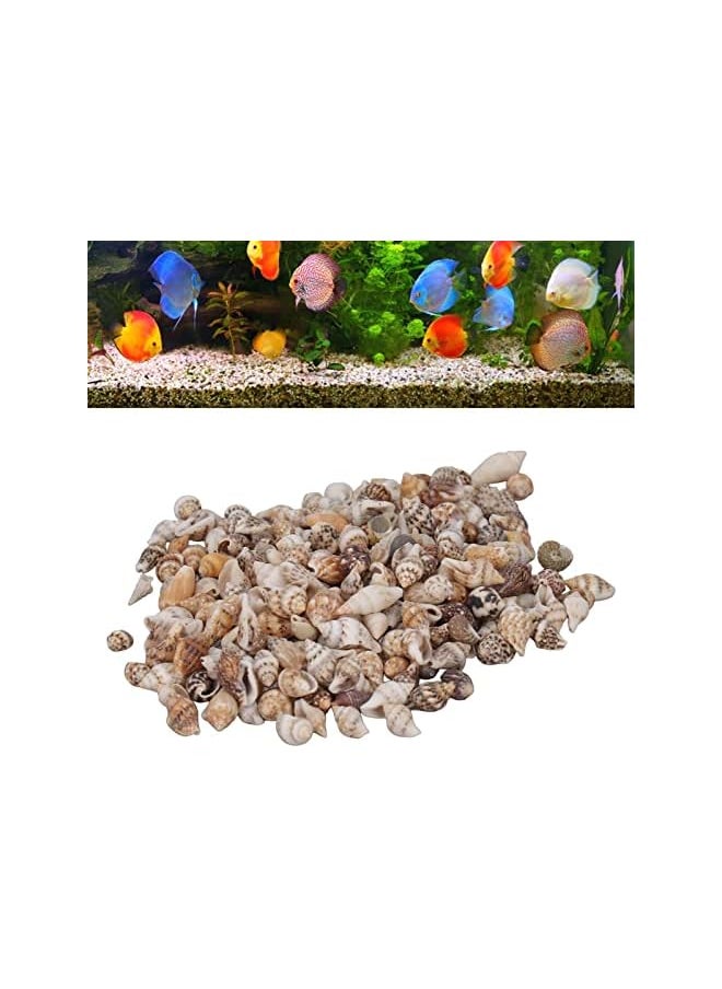 The Bros Small Sea Shells, Spiral Shells, 1 Can, Exquisite Pattern, Non-Porous Decoration for DIY Fish  - Image 3