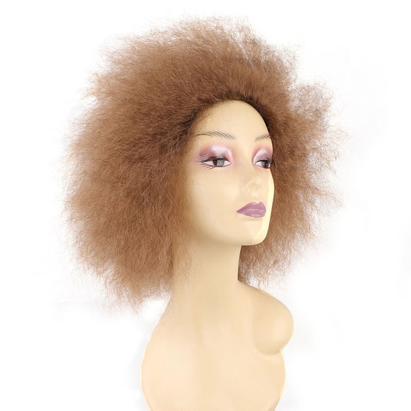 XTREND 65 Inch Hair Synthetic Short Kinky Curly Afro Wig Super Fluffy Wigs for Women 100gPiece Color 27