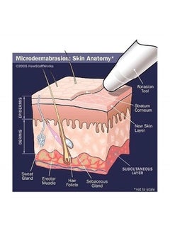 Microdermabrasion Crystals for Machines, All-Natural Facial Exfoliating Treatment for Dull or Dry Skin, Wrinkles, Blemishes, Scars & More (4 lb, 120 Grit)