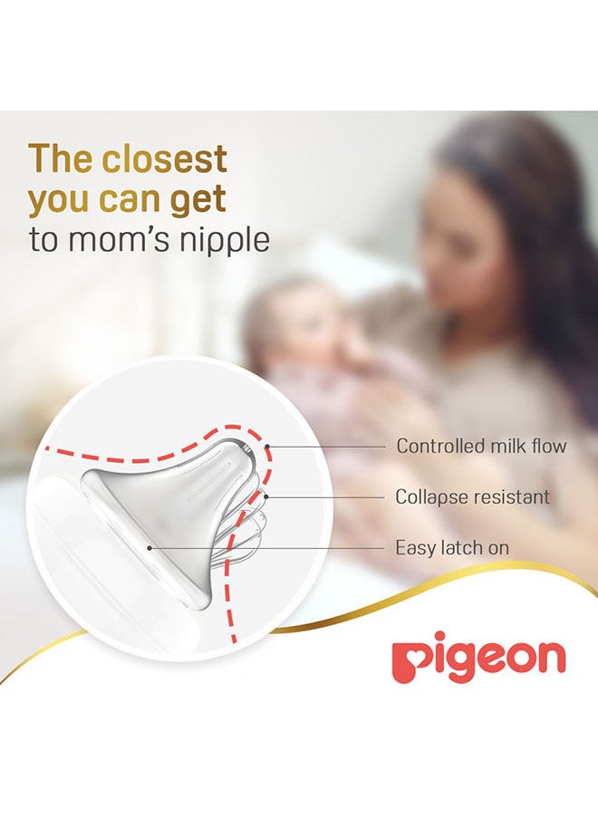 pigeon - سوفت تاتش بيريستالتيك بلس قارورة زجاجية سعة 240 مل ذات رقبة واسعة - Image 1