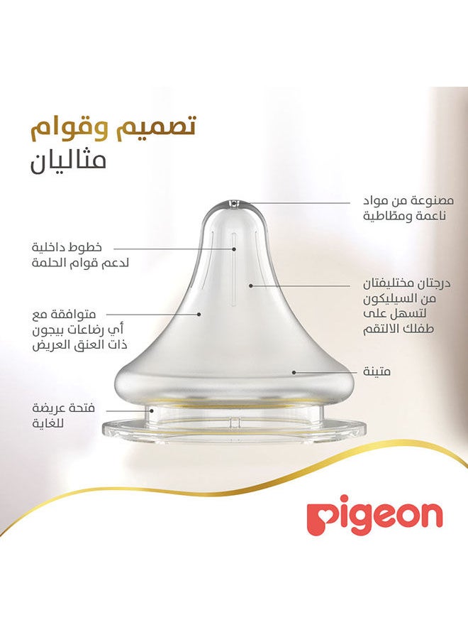 pigeon - سوفت تاتش بيريستالتيك بلس قارورة زجاجية سعة 240 مل ذات رقبة واسعة - Image 1