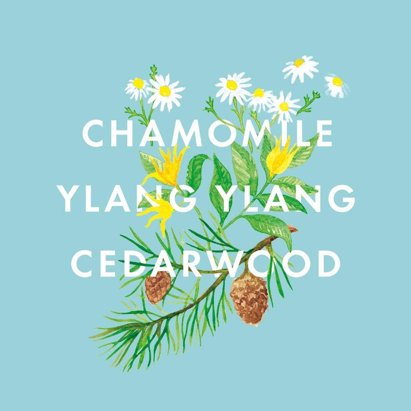 NEOM - Bedtime Hero Essential Oil Blend, 10ml | Chamomile, Ylang Ylang & Cedarwood | 100% Natural Fragrance - Image 3