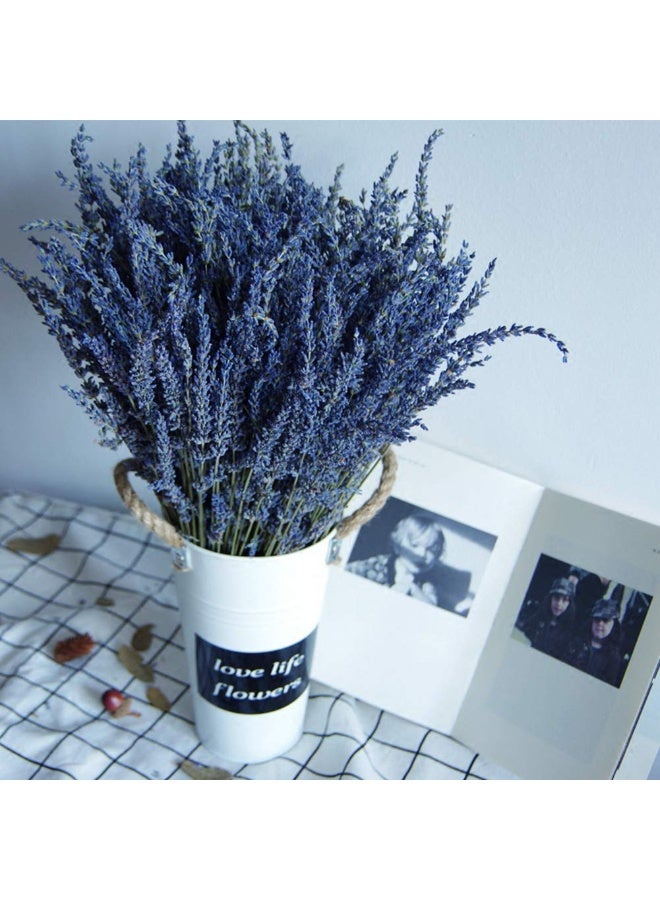 TooGet Natural Lavender Bundles, Freshly Harvested 400+ Stems Dried Lavender Bunch 16" - 18" Long, Decorative Flowers Bouquet for Home Decor, Crafts, Gift, Wedding or Any Occasion - Image 3