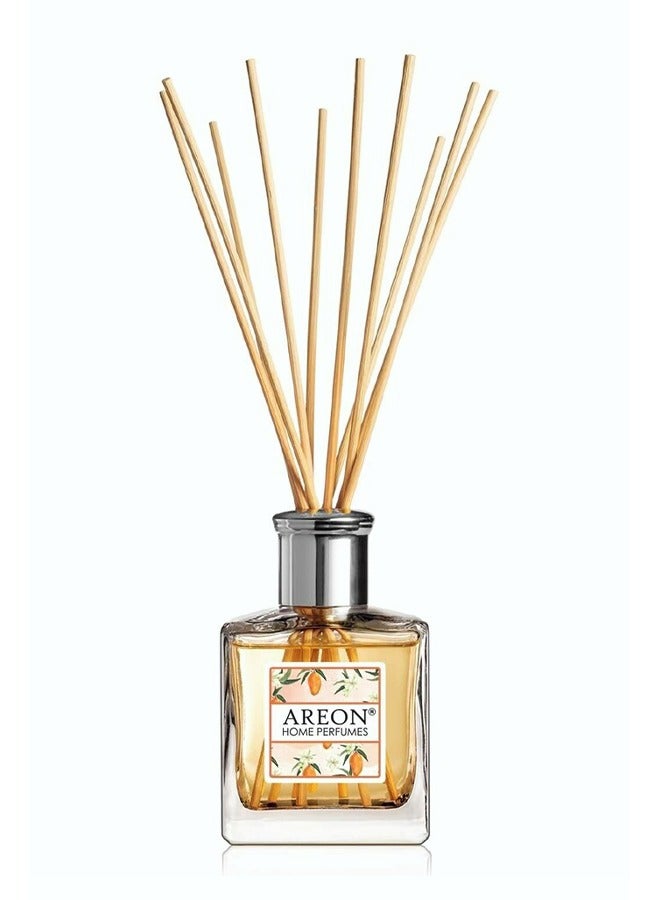 Areon Sticks Car and Home Perfume 50 ml, Mango - Image 3