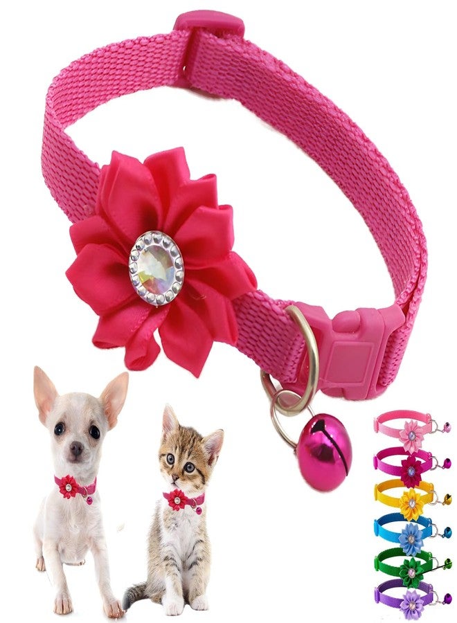 Weimostar Hot Pink XXS Dog Collar with Bell and Flower, Floral XS Kitten Collars with Bell Girl Puppy Collar Cute Adjustable for XSmall Extra Small Female Dogs Tiny Pets Little Cats Yorkie Chihuahua X-Small - Image 1