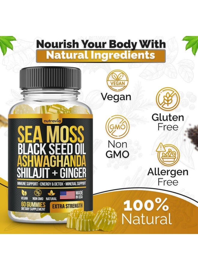 Sea Moss, Black Seed Oil, Ashwagandha, Ginger, Shilajit Gummies with Elderberry, Chlorophyll, Turmeric Bladderwrack Sea Moss Gummies Advanced Strength Formula - All in 1 Bundle - USA Made (60 Gummies) - Image 2