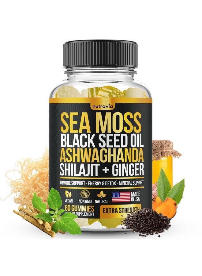 Sea Moss, Black Seed Oil, Ashwagandha, Ginger, Shilajit Gummies with Elderberry, Chlorophyll, Turmeric Bladderwrack Sea Moss Gummies Advanced Strength Formula - All in 1 Bundle - USA Made (60 Gummies) - Image 1