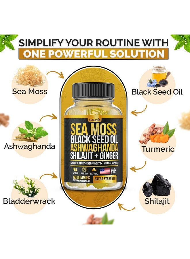 Sea Moss, Black Seed Oil, Ashwagandha, Ginger, Shilajit Gummies with Elderberry, Chlorophyll, Turmeric Bladderwrack Sea Moss Gummies Advanced Strength Formula - All in 1 Bundle - USA Made (60 Gummies) - Image 4