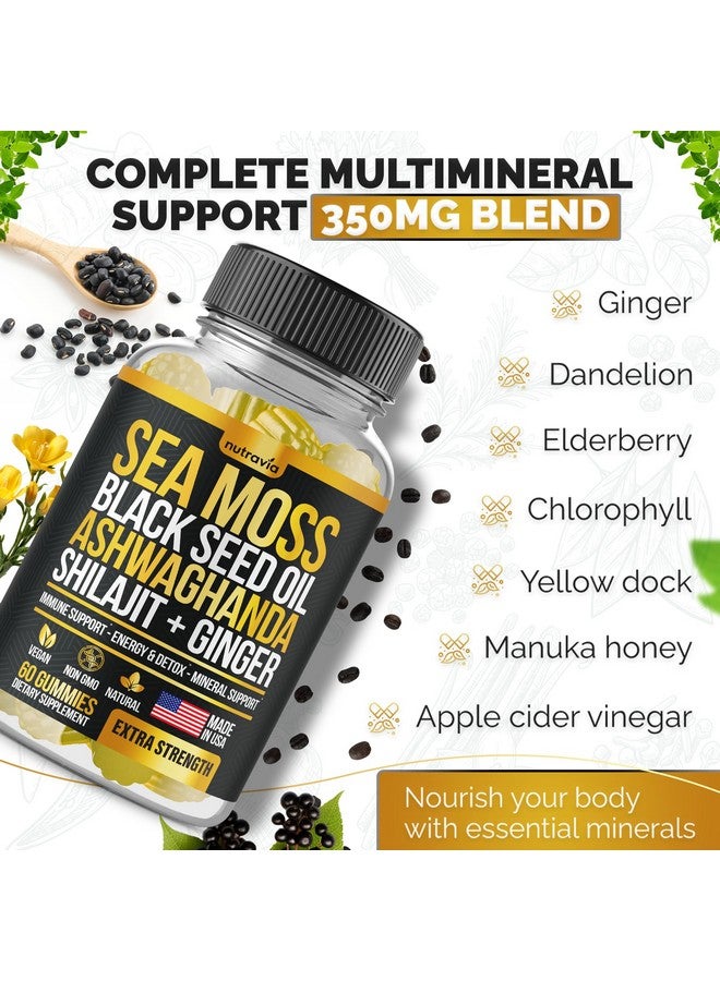 Sea Moss, Black Seed Oil, Ashwagandha, Ginger, Shilajit Gummies with Elderberry, Chlorophyll, Turmeric Bladderwrack Sea Moss Gummies Advanced Strength Formula - All in 1 Bundle - USA Made (60 Gummies) - Image 5
