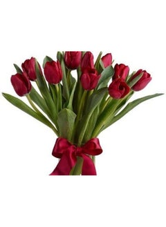 Dual Red Tulips In Vase 10'S - pzsku/ZD205049EC6392B20AF8EZ/45/_/1729574794/88f63846-b86a-4a2a-9eb7-a9fb3bfe51e7