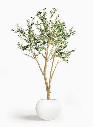 180CM Artificial Olive Tree