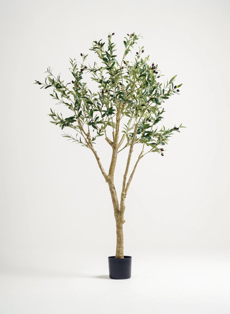 Zvezvia 180cm Artificial Olive Tree with Optional Large 34.5cm White Pot - Realistic Faux Potted Plant for Home Office Decor, No Maintenance Needed - Image 4