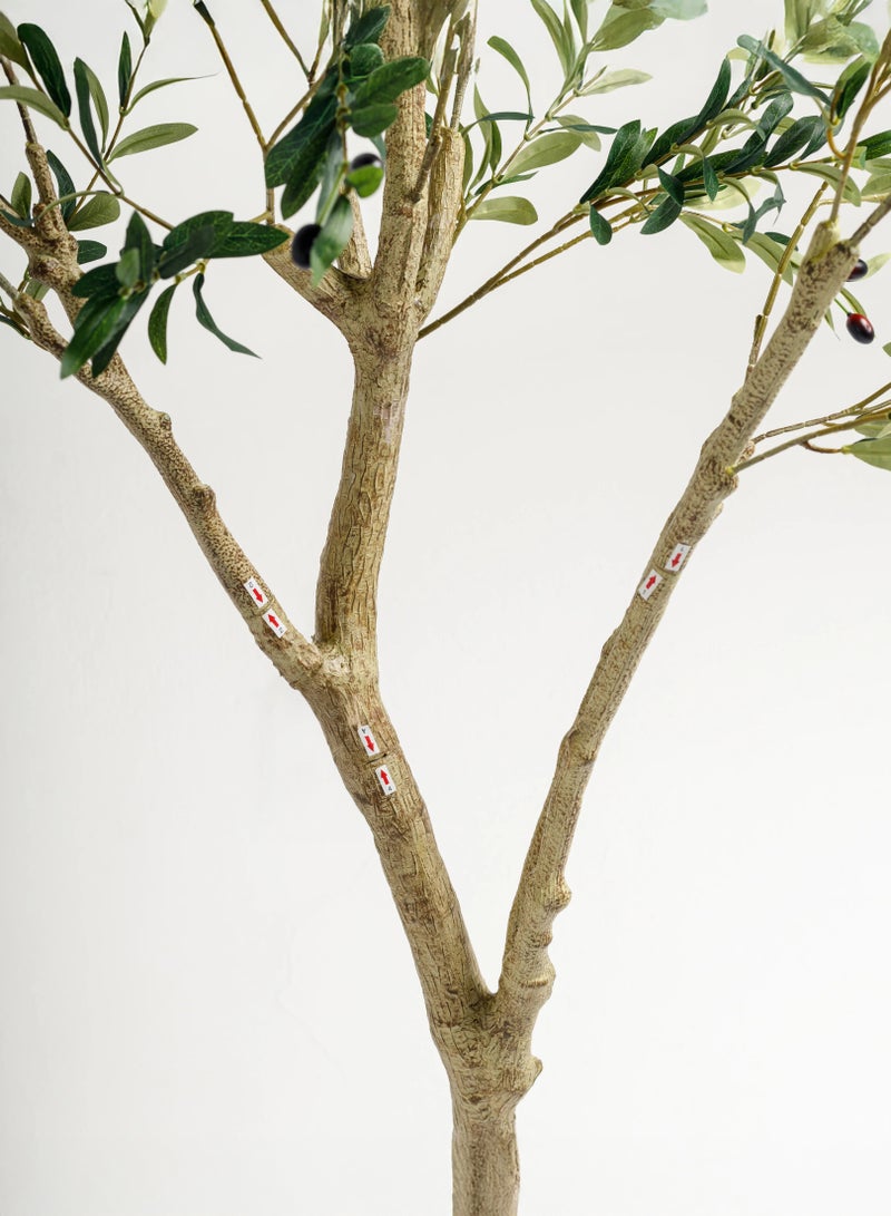 Zvezvia 180cm Artificial Olive Tree with Optional Large 34.5cm White Pot - Realistic Faux Potted Plant for Home Office Decor, No Maintenance Needed - Image 5