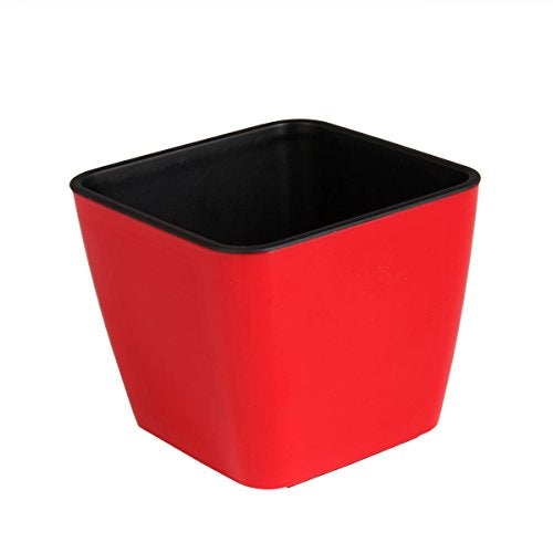 DIVINE TREE Red Color Self Watering Planter Pot for Indoor Flowering Plants(10 x 09 cm) - Image 3
