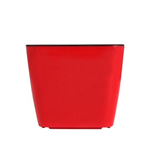 DIVINE TREE Red Color Self Watering Planter Pot for Indoor Flowering Plants(10 x 09 cm) - Image 2