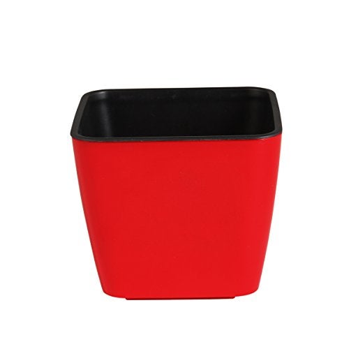 DIVINE TREE Red Color Self Watering Planter Pot for Indoor Flowering Plants(10 x 09 cm) - Image 1