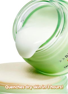 BRING GREEN كريم جل مرطب مهدئ من أرتيميسيا سيرا من BRING GREEN | عناية يومية بالبشرة من الزجاج النباتي لترطيب مكثف للبشرة الجافة والدهنية وتهدئة البشرة الحساسة والبشرة المتهيجة 2.53 أونصة سائلة.  - Image 5