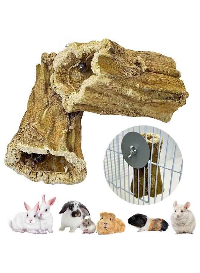 Hamiledyi Bunny Chew Toys for Teeth 2 Pcs Organic Papaya Wood Rabbit Chew Sticks Natural Chinchilla Toys Teeth Molar Treats for Hamster Guinea Pig Rat Gerbils and Other Small Animals - Image 1