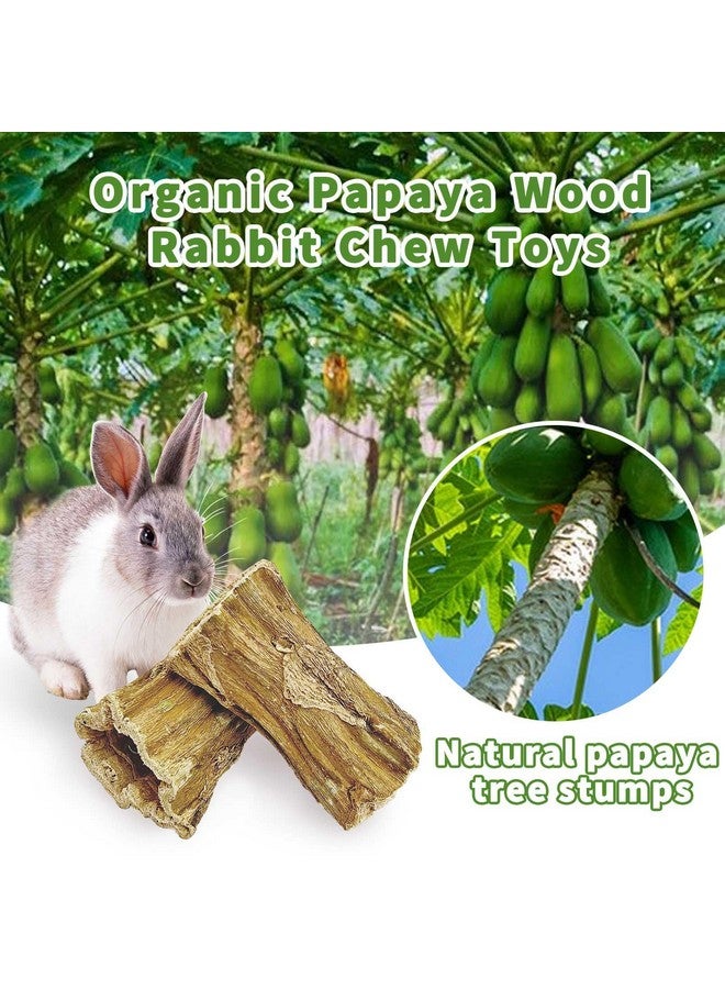 Hamiledyi Bunny Chew Toys for Teeth 2 Pcs Organic Papaya Wood Rabbit Chew Sticks Natural Chinchilla Toys Teeth Molar Treats for Hamster Guinea Pig Rat Gerbils and Other Small Animals - Image 3