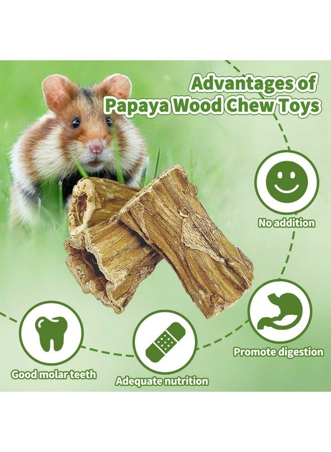 Hamiledyi Bunny Chew Toys for Teeth 2 Pcs Organic Papaya Wood Rabbit Chew Sticks Natural Chinchilla Toys Teeth Molar Treats for Hamster Guinea Pig Rat Gerbils and Other Small Animals - Image 4