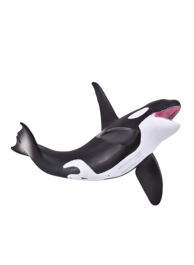 CollectA Sea Life Orca Toy Figure - Authentic Hand Painted Model, 8.1" L x 3.1" H