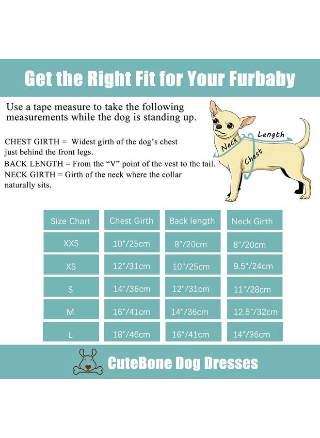 CuteBone - Dog Mesh Dress Puppy Sundress Pet Outfit Summer Fashion for Small Dogs Girl Cat Clothes BF25XXS - Image 1