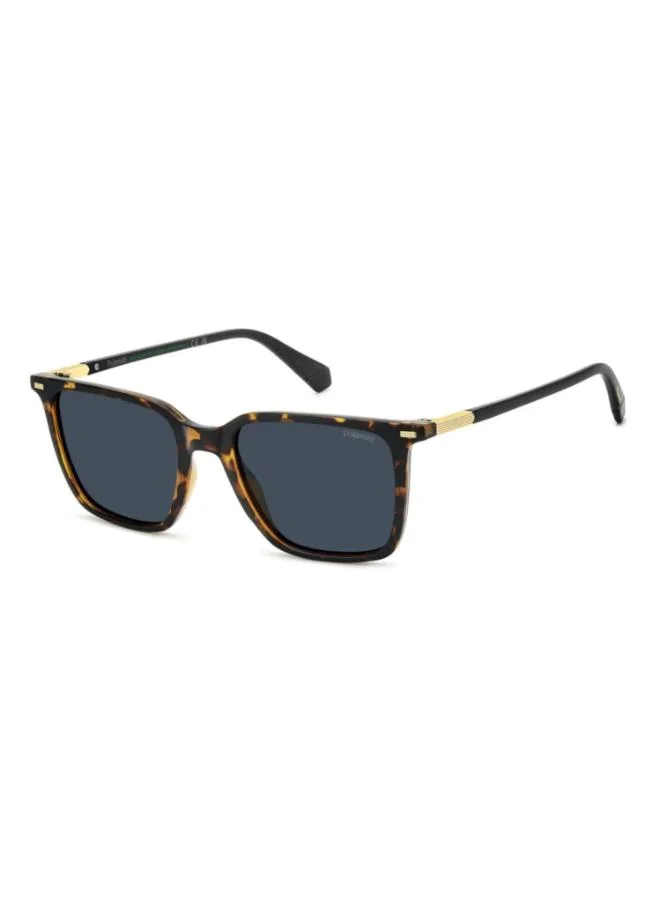Wayfarers Sunglasses