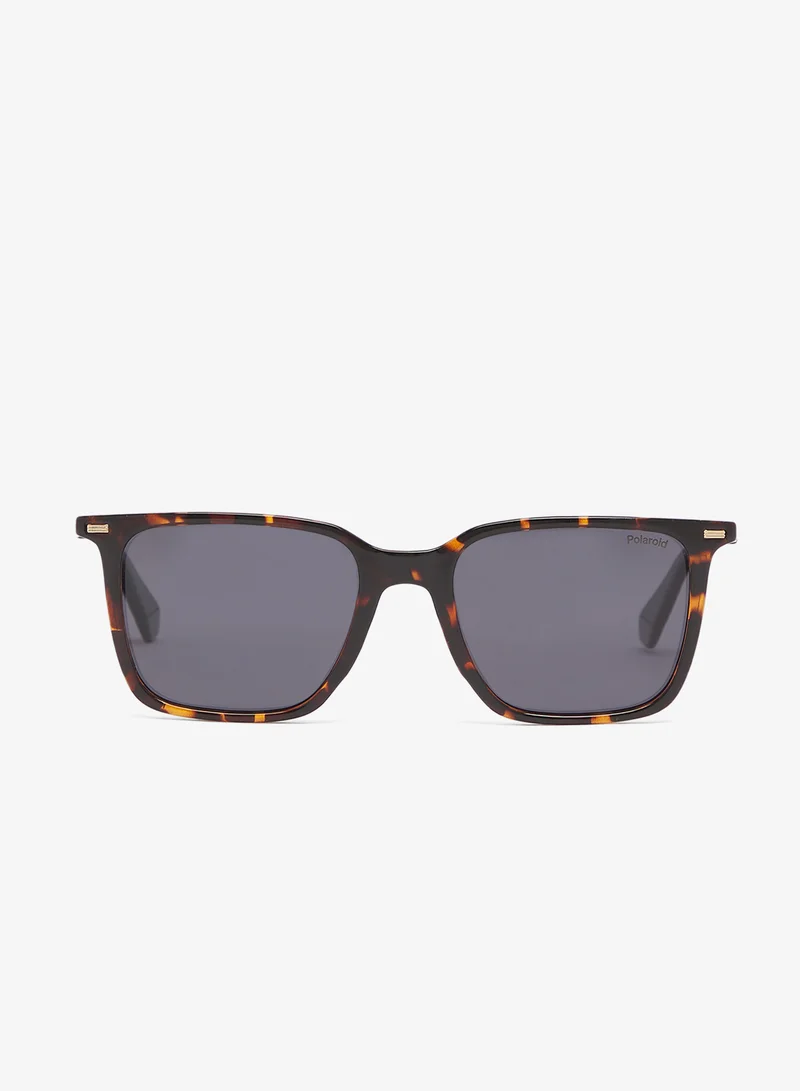 Polaroid Wayfarers Sunglasses