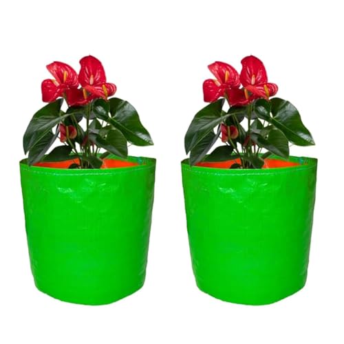 GroWonder Plant Grow Bags 18X9 inches, Terrace Gardening Vegetable Planting Pots, Woven Fabric Leafy Fruits Growing Containers-Pack of 2 - Image 1