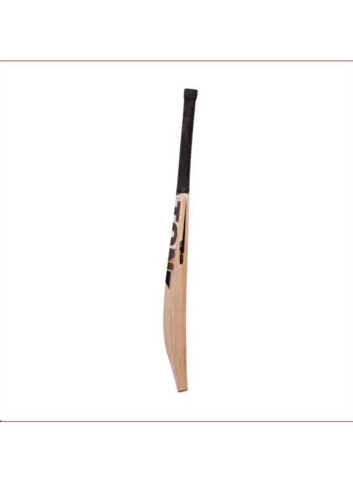 SS - SS Ton Blaster Kashmir Willow Cricket Bat SH - Image 1
