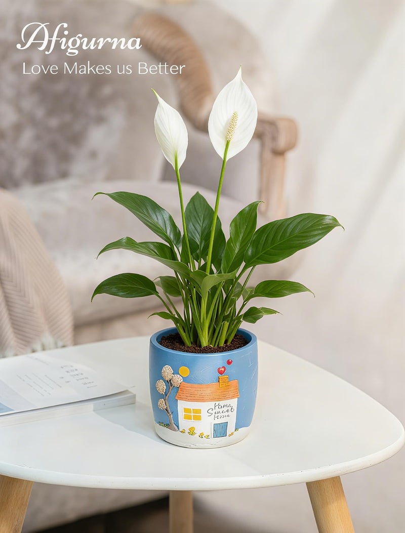 Afigurna New Home Gift Ideas: New Home Apartment Plant Gift for Plant Lover - 5.3in Hand-Painted 3D Art Planter - Gardening House Warming Present for Christmas - Image 3