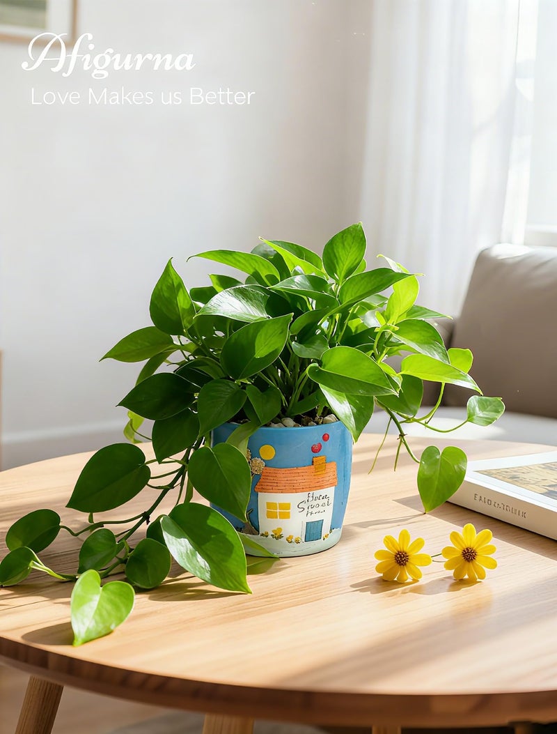 Afigurna New Home Gift Ideas: New Home Apartment Plant Gift for Plant Lover - 5.3in Hand-Painted 3D Art Planter - Gardening House Warming Present for Christmas - Image 2