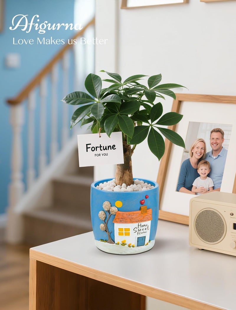 Afigurna New Home Gift Ideas: New Home Apartment Plant Gift for Plant Lover - 5.3in Hand-Painted 3D Art Planter - Gardening House Warming Present for Christmas - Image 4