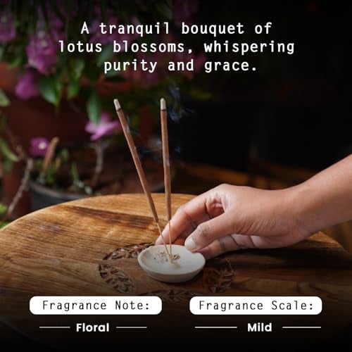 NYASSA Highly Scented Divine Lotus Agarbatti/Incense Sticks - 50g, Divine Lotus Fragrance, Charcoal-Free Agarbatti for Pooja, Meditation, Home Freshness & Positive, Energy, for Special Occasions - Image 4