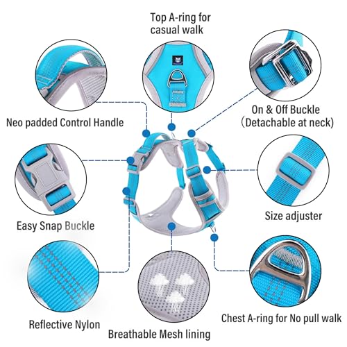 HANK Dog Harness | 3M Reflective | Body Vest for Small Dogs | Soft Comfortable | Adjustable Buckles | No Pull Harness for Training, Walking (Cyan Blue - Grey - S (4-13Kg) - Image 2