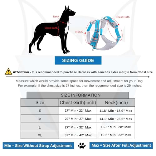 HANK Dog Harness | 3M Reflective | Body Vest for Small Dogs | Soft Comfortable | Adjustable Buckles | No Pull Harness for Training, Walking (Cyan Blue - Grey - S (4-13Kg) - Image 5
