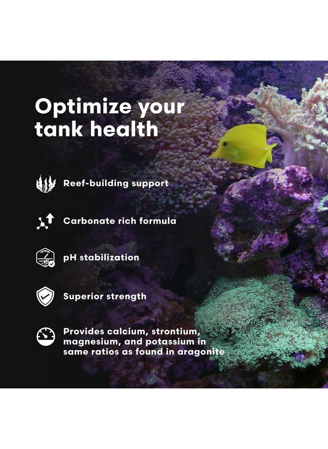 Brightwell Aquatics - Coralline Accelerator  MultiNutrient Supplement For Coralline Algae Growth In Marine And Reef Aquariums  Aquarium Water Treatments, 8.45 Fl Oz - Image 1