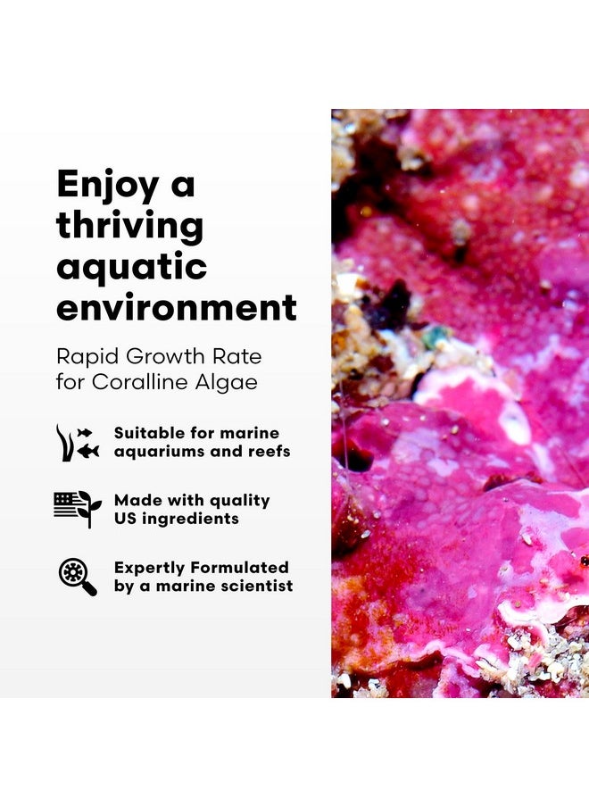 Brightwell Aquatics - Coralline Accelerator  MultiNutrient Supplement For Coralline Algae Growth In Marine And Reef Aquariums  Aquarium Water Treatments, 8.45 Fl Oz - Image 1