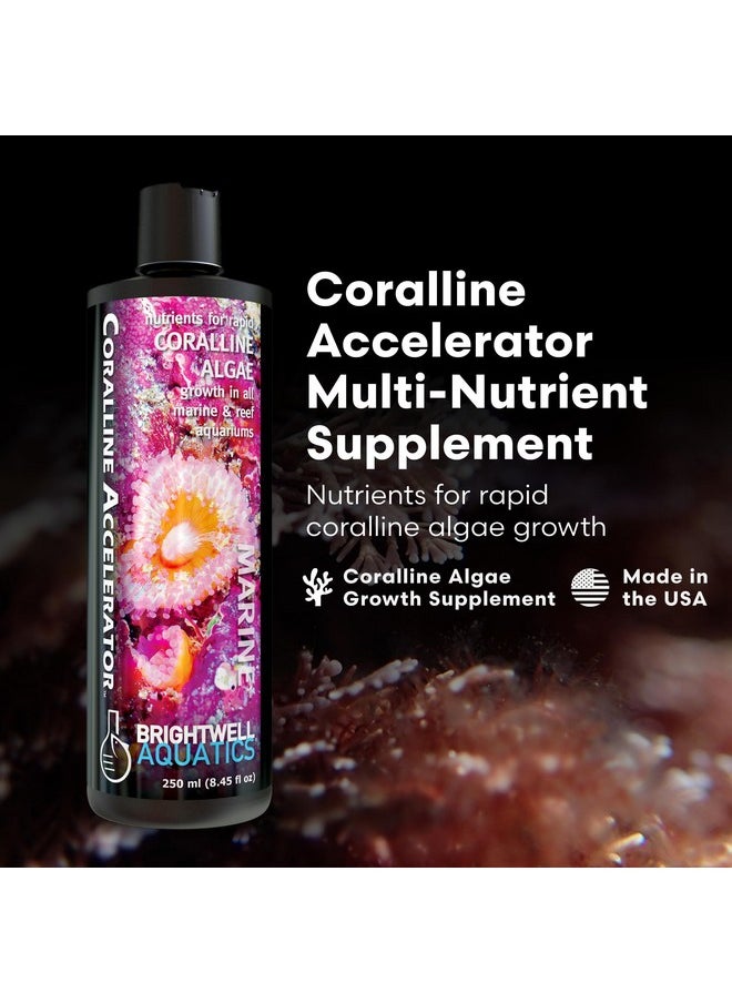Brightwell Aquatics - Coralline Accelerator  MultiNutrient Supplement For Coralline Algae Growth In Marine And Reef Aquariums  Aquarium Water Treatments, 8.45 Fl Oz - Image 1
