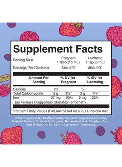 MaryRuth Organics Liquid Iron Supplement Prenatal & Postnatal for Pregnant & Lactating | Iron Deficiency | Immune Support | Sugar/Gluten Free | Vegan | Non-GMO | 15.22 Fl Oz  - Image 2