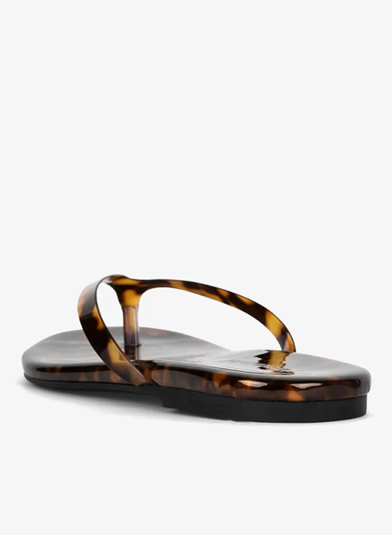 Jeffrey Campbell Tortoise Flat Thong Sandal for Women | Best Price UAE