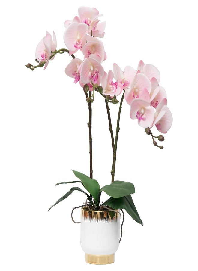 CXGS Orchids Artificial Flowers Real Touch Fake Flowers in Ceramic Pot 20" Pink Faux Orchid Plant Lifelike Silk Phalaenopsis for Centerpiece Hotel Home Indoor Decor - Image 1