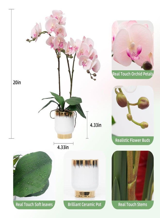 CXGS Orchids Artificial Flowers Real Touch Fake Flowers in Ceramic Pot 20" Pink Faux Orchid Plant Lifelike Silk Phalaenopsis for Centerpiece Hotel Home Indoor Decor - Image 2