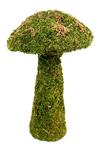 SuperMoss (55271) Deco Moss Small Mushroom, 11", Fresh Green - Image 4