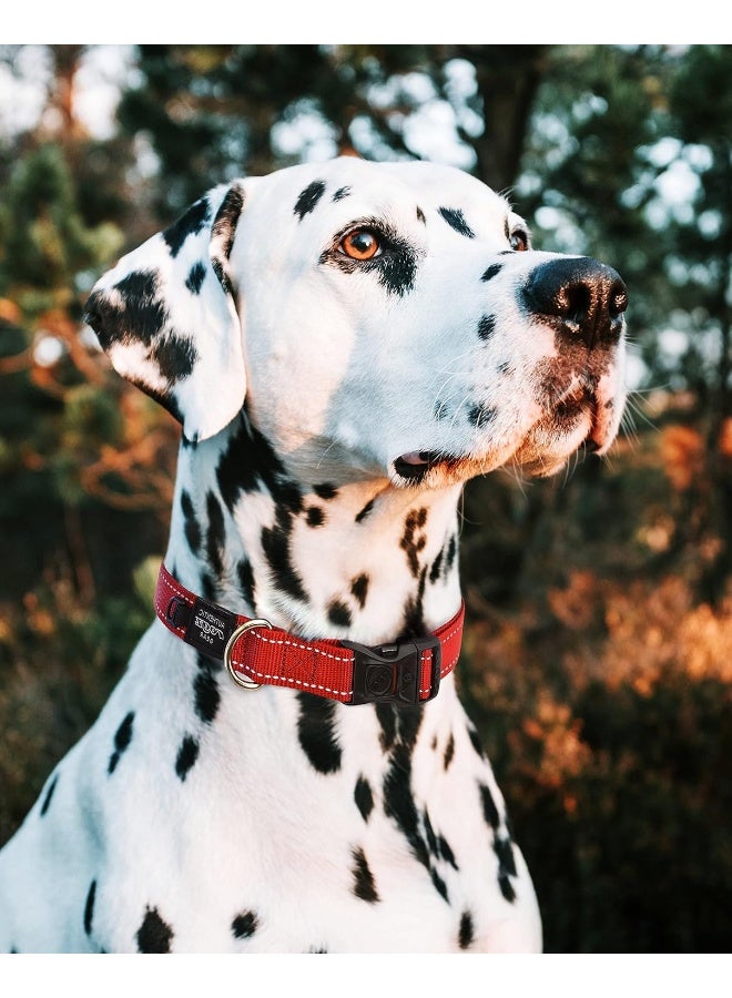 Rogz طوق روجز يوتيليتي بخياطة عاكسة - أحمر س - Image 2