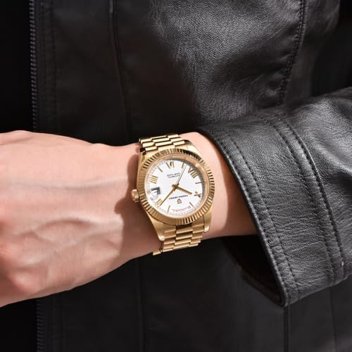 LACZ DENTON Pagani Design DD36 Men's Watches Luxury Automatic Watch Men AR Sapphire Glass Mechanical Wristwatch Men 10Bar ST16 Movt - Image 2