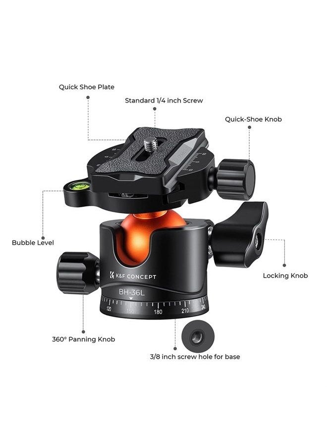 K&F Concept - 36mm Metal Tripod Ball Head 360 Degree Rotating Panoramic with 1/4 inch Quick Release Plate Bubble Level for Monopod Camera Camcorder Load Capacity up to 35.2 lbs/16KG - Image 1