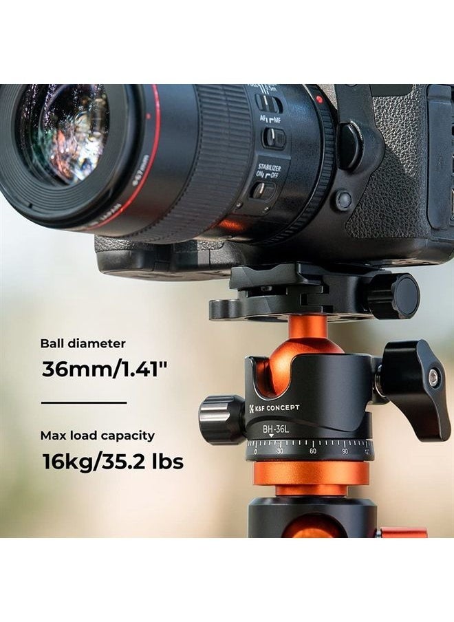 K&F Concept - 36mm Metal Tripod Ball Head 360 Degree Rotating Panoramic with 1/4 inch Quick Release Plate Bubble Level for Monopod Camera Camcorder Load Capacity up to 35.2 lbs/16KG - Image 1