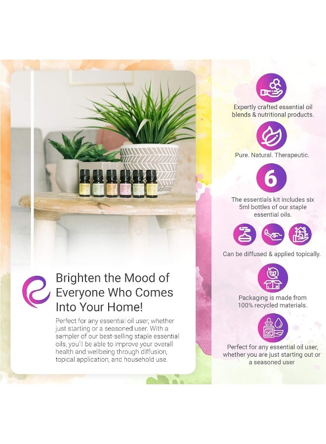 Rocky Mountain Oils - The Essentials Kit - Includes 100% Pure Lavender, Lemon, Orange, Peppermint, Tea Tree, and Rosemary Essential Oils - 5 ml Bottles - Image 2