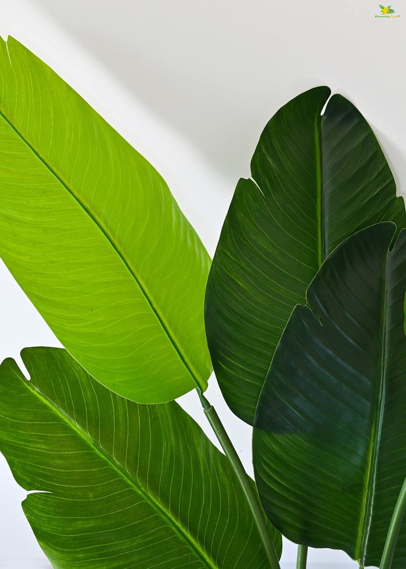 Blooming Floret Artificial Banana Plant with Basic Black Pot | 3 Stems Having 7 Leaves | Big Ornamental Plant for Interior Decor/Home Decor/Office Decor | 108 cm Tall Indoor Tropical Plant | Durable - Image 2